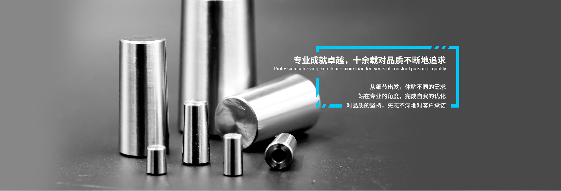 專業